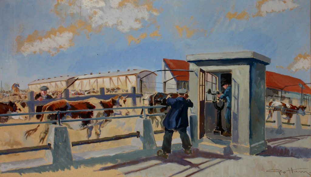 Un employée de l'abattoir regarde les vaches à l'air libre