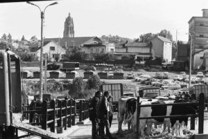 Marché aux bestiaux  au lac de la Chaize, années 1970. Collection Christian Tronquet