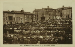 Marché aux bestiaux, place Dupin. Archives Municipales Bressuire, 11 Fi 445